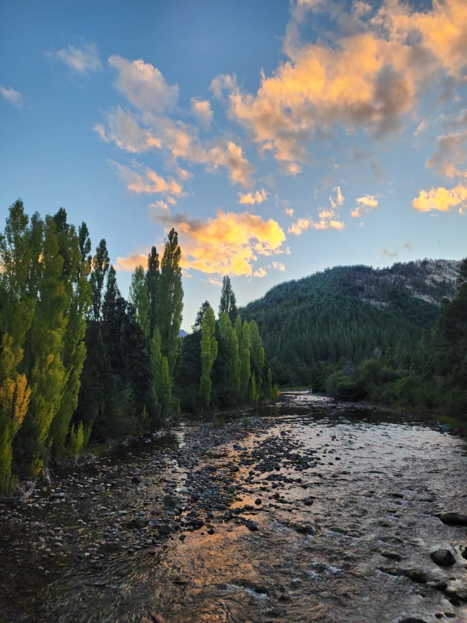Paisaje de Villa Lago Meliquina