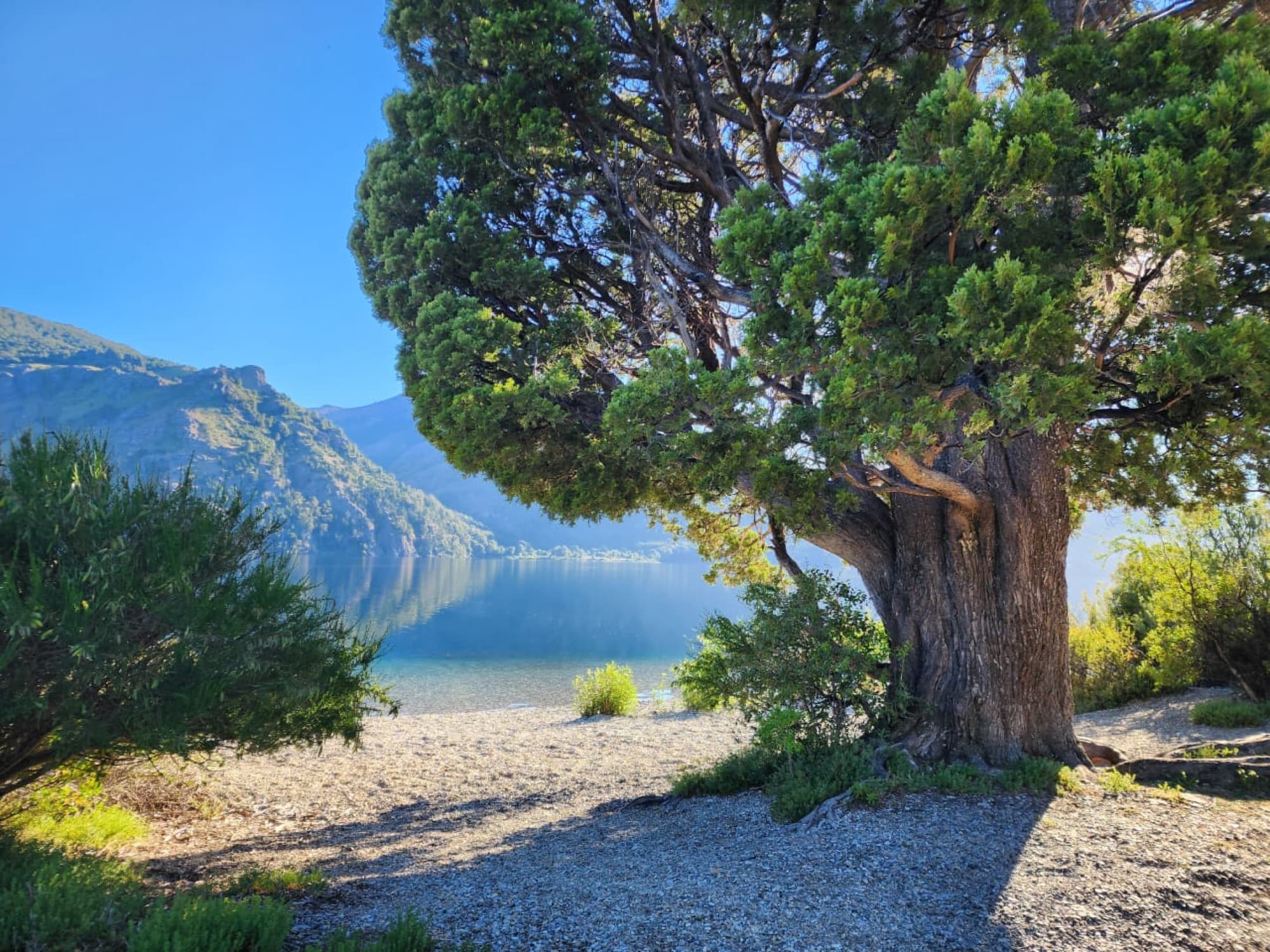 Paisaje de Villa Lago Meliquina
